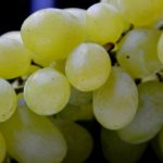 Co oznacza sen o winogronach?